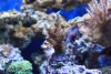 DSC01828.JPG