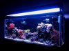 fts2.JPG