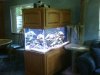 IMG00217.jpg