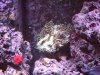 DSCN0945.jpg
