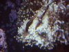 DSCN0946.jpg