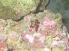 july & aquarium 045.jpg