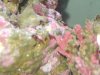 july & aquarium 058.jpg