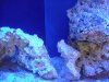 DSCF2147.jpg