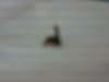 79f291e40eba__1280744666000.jpeg