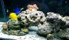 fts.jpg