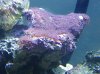 IMG_20100805_101650.jpg