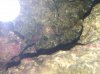 IMG_20100805_101631.jpg