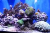 DSC02235.JPG