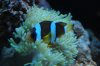 fish 2 040.jpg