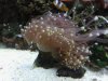 6370bb82f60d__1281285376000.jpeg