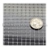 clear-netting-14.jpg