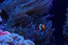 DSC_0004_1.jpg