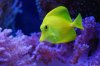 DSC_0315_1.jpg