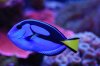 DSC_0388_1.jpg