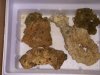 DSCN0807.jpg
