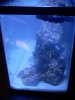 DSCN0810.jpg