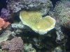 2010-08-15 16.19.43.jpg
