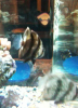 Pics 068.png