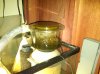 blackberry pics 203.jpg