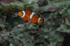 DSC_1927.jpg
