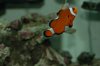 DSC_1924.jpg