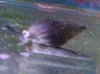 DSC00635_picnik.jpg