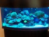 Tank2.JPG