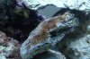 DSCF0260.jpg