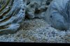 DSCF0258.jpg