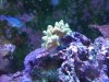 IMG_0451.jpg