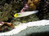 100_0126.JPG