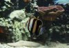 DSC00711.jpg