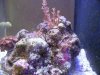 100_3832.JPG