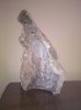 IMG_20100903_163529.jpg