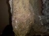 IMG_20100903_163455.jpg