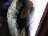 IMG_0053.jpg