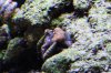 DSC01558.jpg