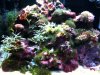 photo (2).jpg