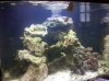 IMG_20100909_190533.jpg