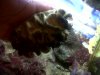 IMG00222-20100914-1306.jpg