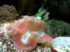 IMG00144-20100701-1332.jpg
