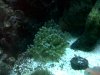 IMG00113-20100608-2124.jpg