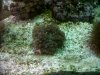 IMG00219-20100914-1305.jpg