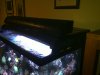 20100914_002.jpg