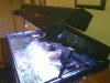 20100914_003.jpg