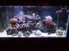 DSCN1456.jpg