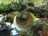 IMG_20100916_163926.jpg