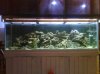 2010-09-10_23.26.41.jpg