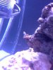 SNAIL.jpg